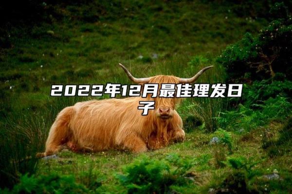 当年:2025年11月理发黄道吉日查询,哪几天最适合剪头发带来好运? 当年:2025年11月理发黄道吉日查询,哪几天最适合剪头发带来好运?