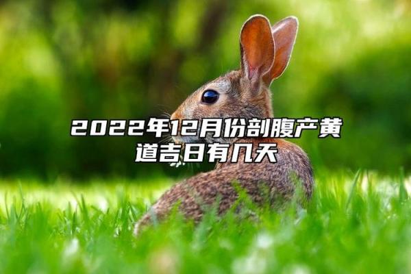 剧透：十二月份生孩子的黄道吉日有哪几天 12月剖腹产黄道吉日推荐
