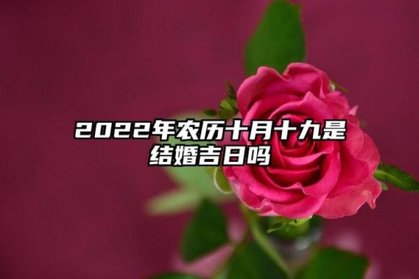 通知:2025年农历十九月提车黄道吉日查询,如何选择最吉利的日子提新车? 通知:2025年农历十九月提车黄道吉日查询,如何选择最吉利的日子提新车?