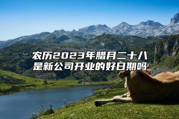今早：2025年腊月开业吉日查询，哪些日期适合新店开张？求详细分析